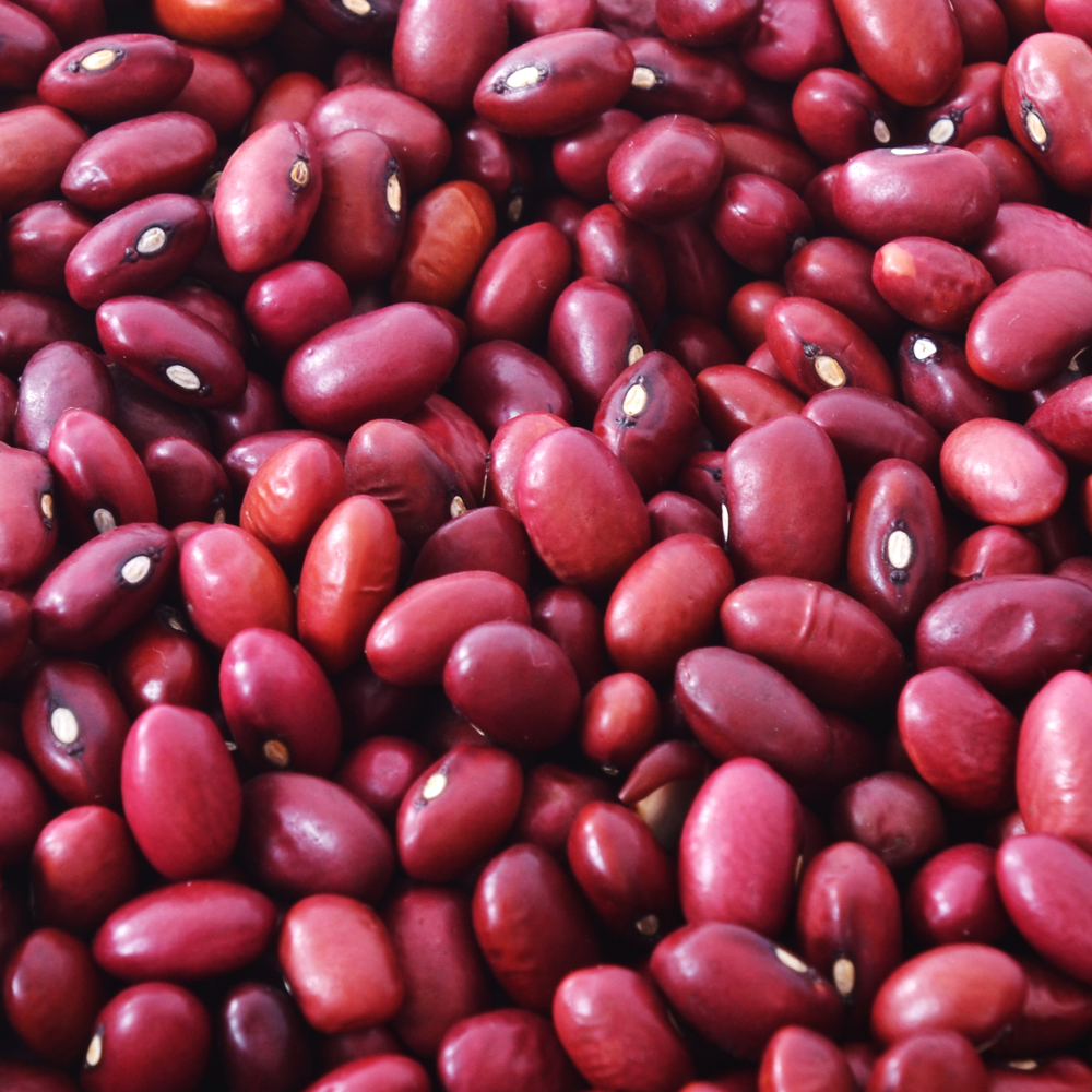 Agricultural-Export-Products-coffee-pulses-oilseeds-spices